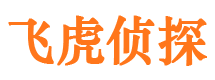 环县市婚姻出轨调查